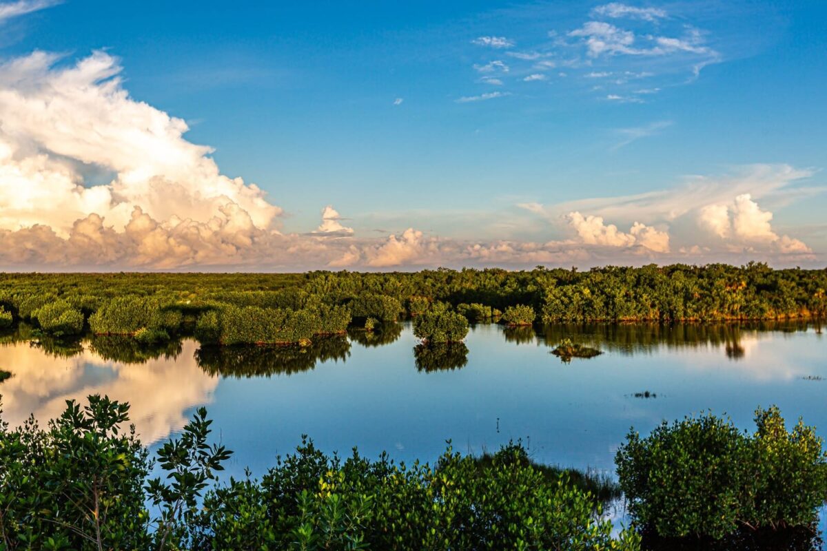 ten thousand islands by marco island