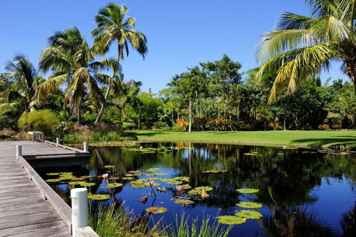 pond in botanical gadens