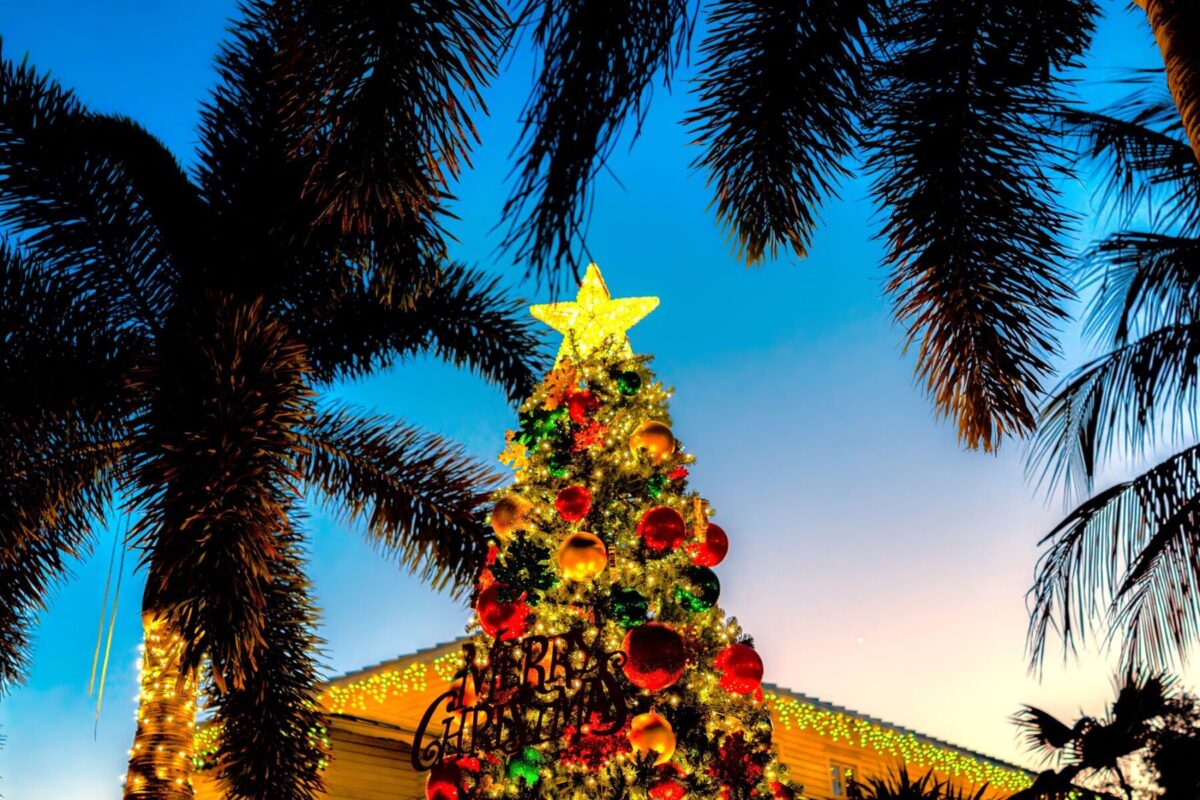 christmas tree in naples florida 