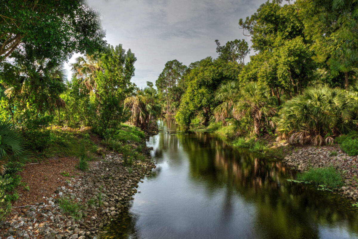 river at gordon river greenway park