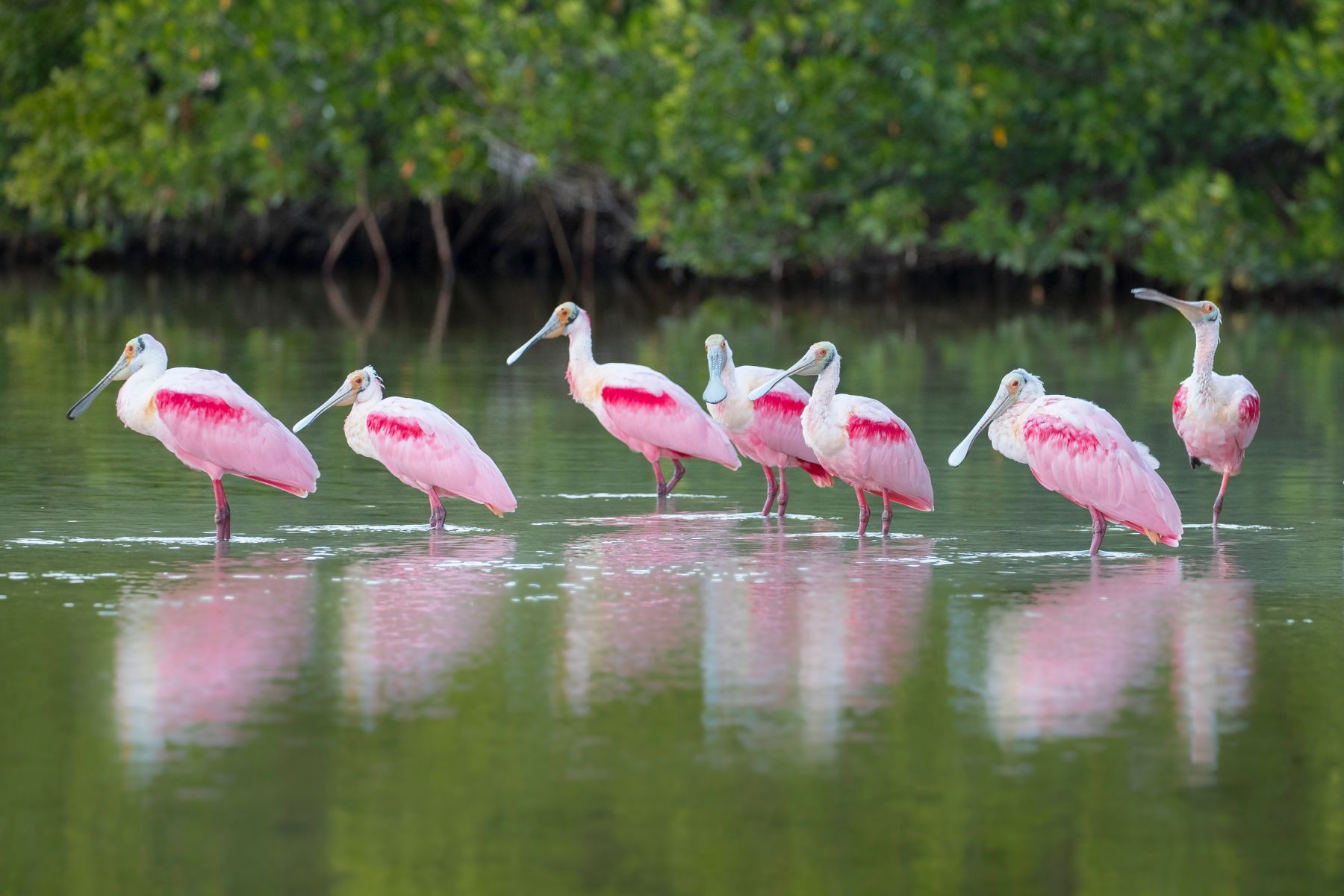 nature preserve in Naples FL