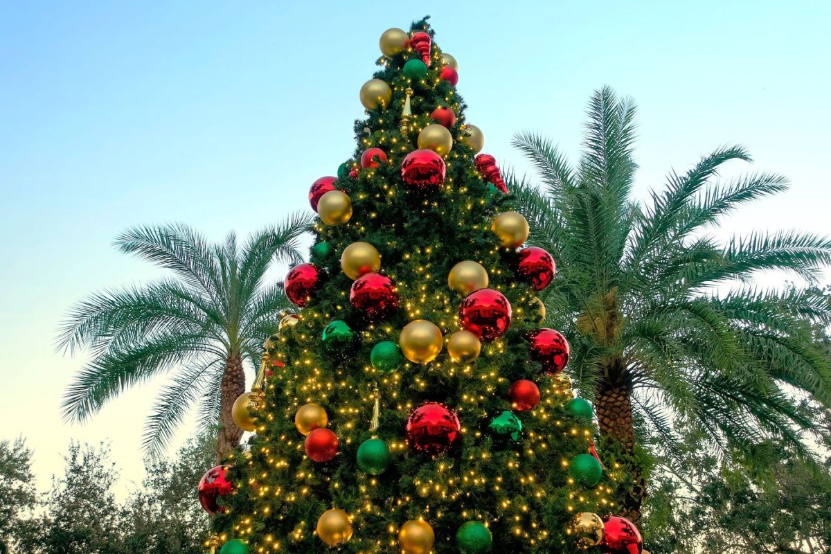 naples christmas tree 